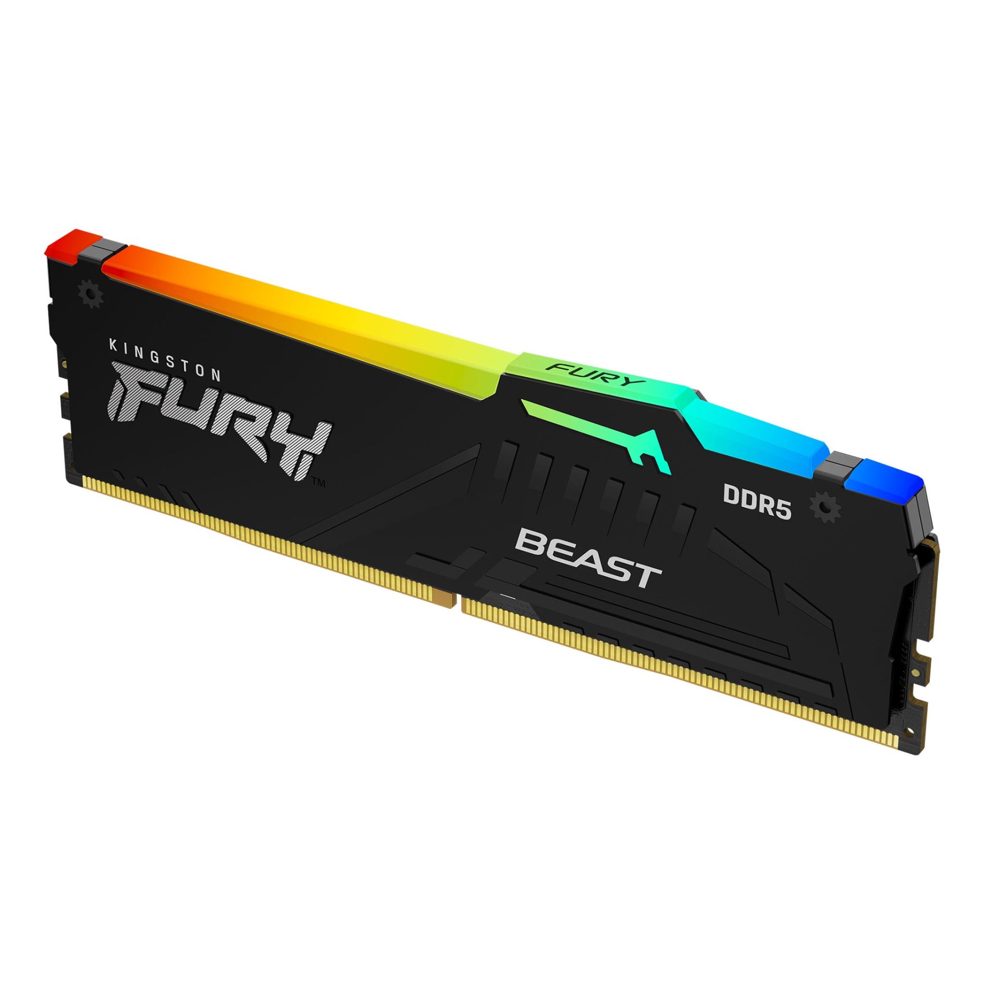 FURY_Beast_Black_RGB_DDR5_1_angle zm lg 1