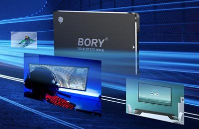 bory-logo-service-new